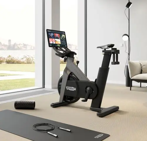 TECHNOGYM BIKE